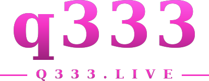 q333 logo